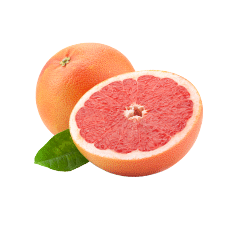 Anton Duerbeck Fruchtimport Grapefruit