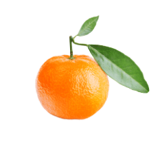 Anton Duerbeck Fruchtimport Mandarine