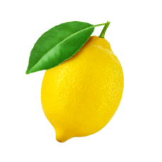 Anton Duerbeck Fruchtimport Zitrone